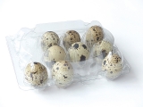 Abbildung einer Wachteleierschachtel PET fr 12 Eier